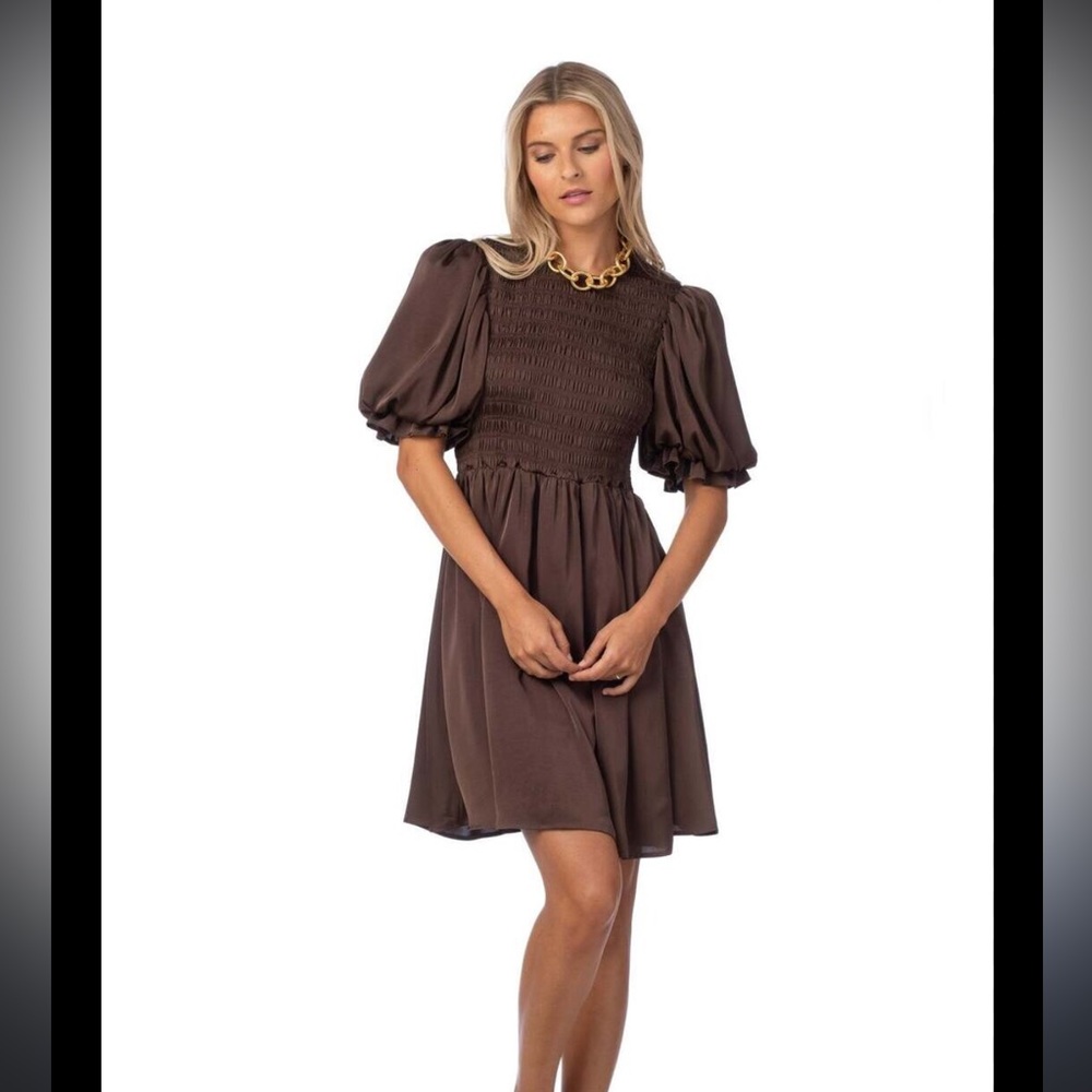 NWT Crosby by Mollie Burch Lizzy dress in Java